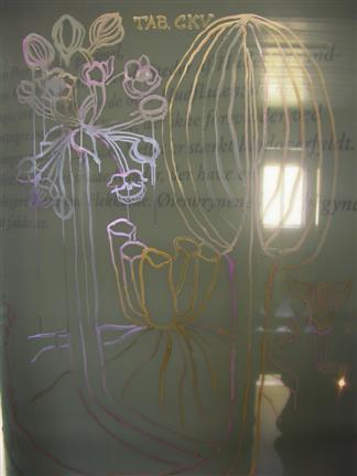 leprosy 003.jpg - False Windows, 2011